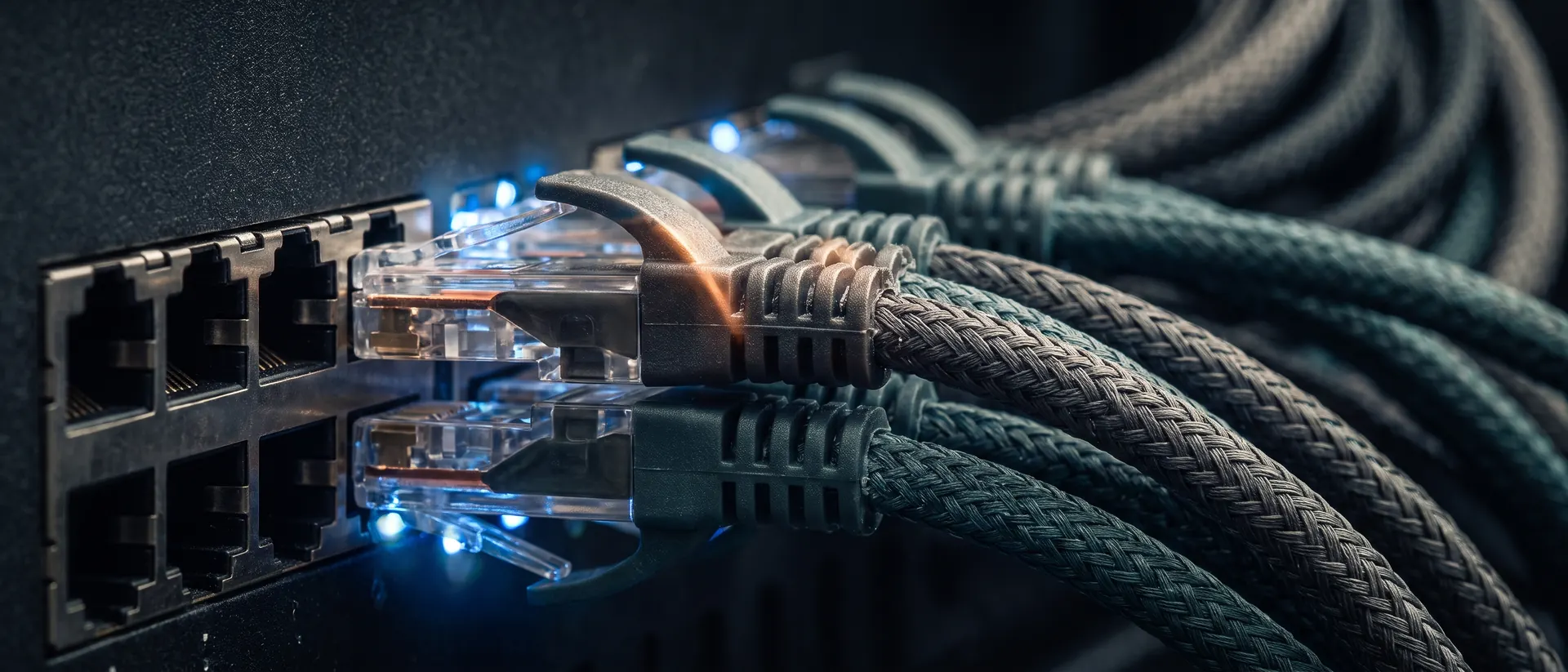 Cables de red conectados en la fila de puertos de un switch